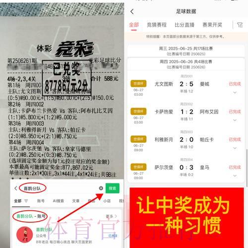 世界杯竞猜平台的安全性与可靠性分析